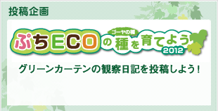 投稿企画 ぷちECOの種（ゴーヤの種）を育てよう2012 グリーンカーテンの観察日記を投稿しよう！