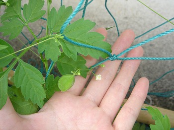 20100730_002.jpg