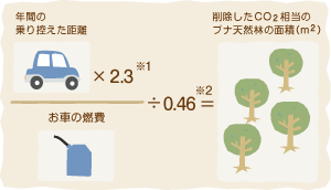 年間の乗控えた距離×2.3/お車の燃費÷0.46=削除したCO2相当のブナ天然林の面積(m2)